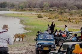 Jim-Corbett