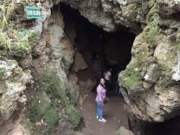 Cave-Garden