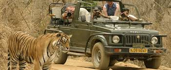 National-Park-Ranthambore